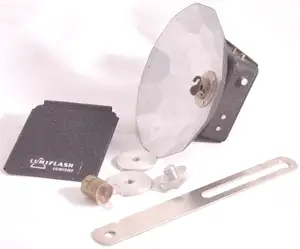 Lumiflash, diamètre de la corolle : 9,5 cm