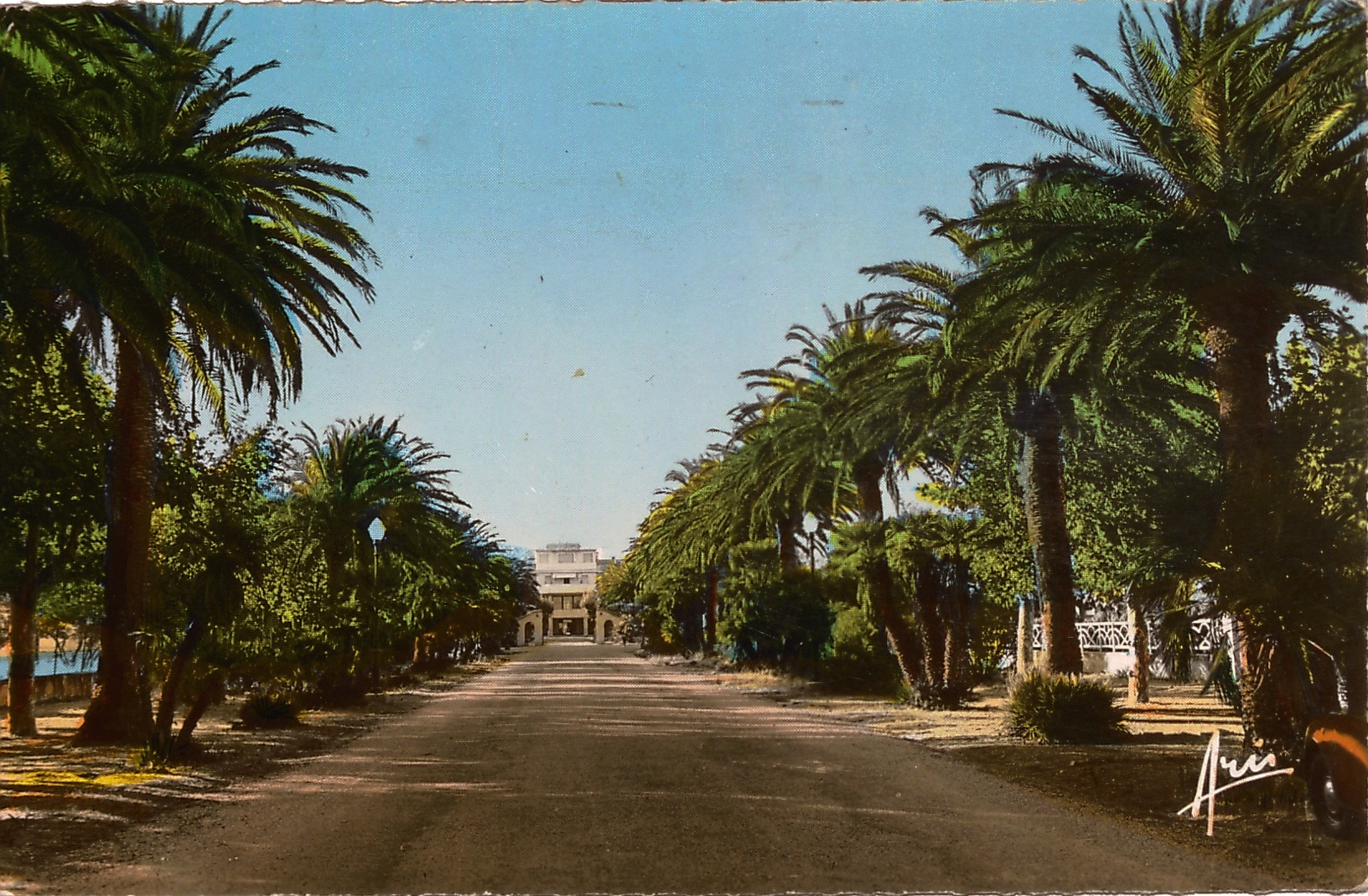Le Palais Lumière, allée de palmiers